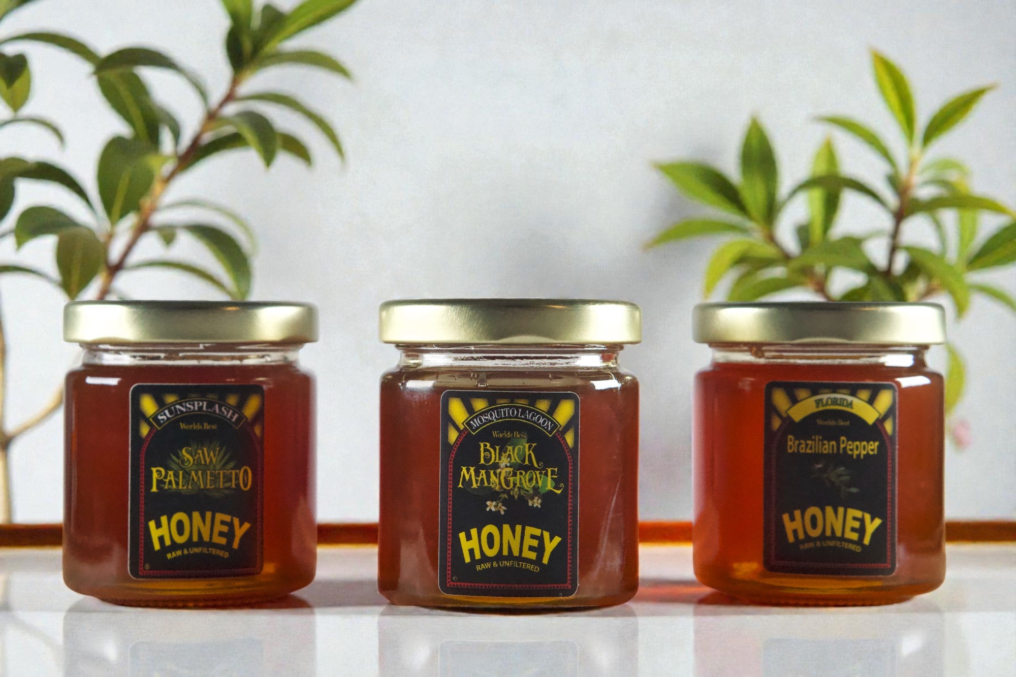 Honey Sampler Package