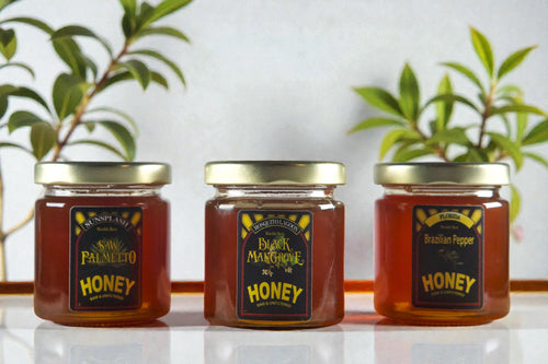 Black Mangrove Honey Sampler