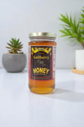Gallberry Honey - Mild, buttery Southern raw honey