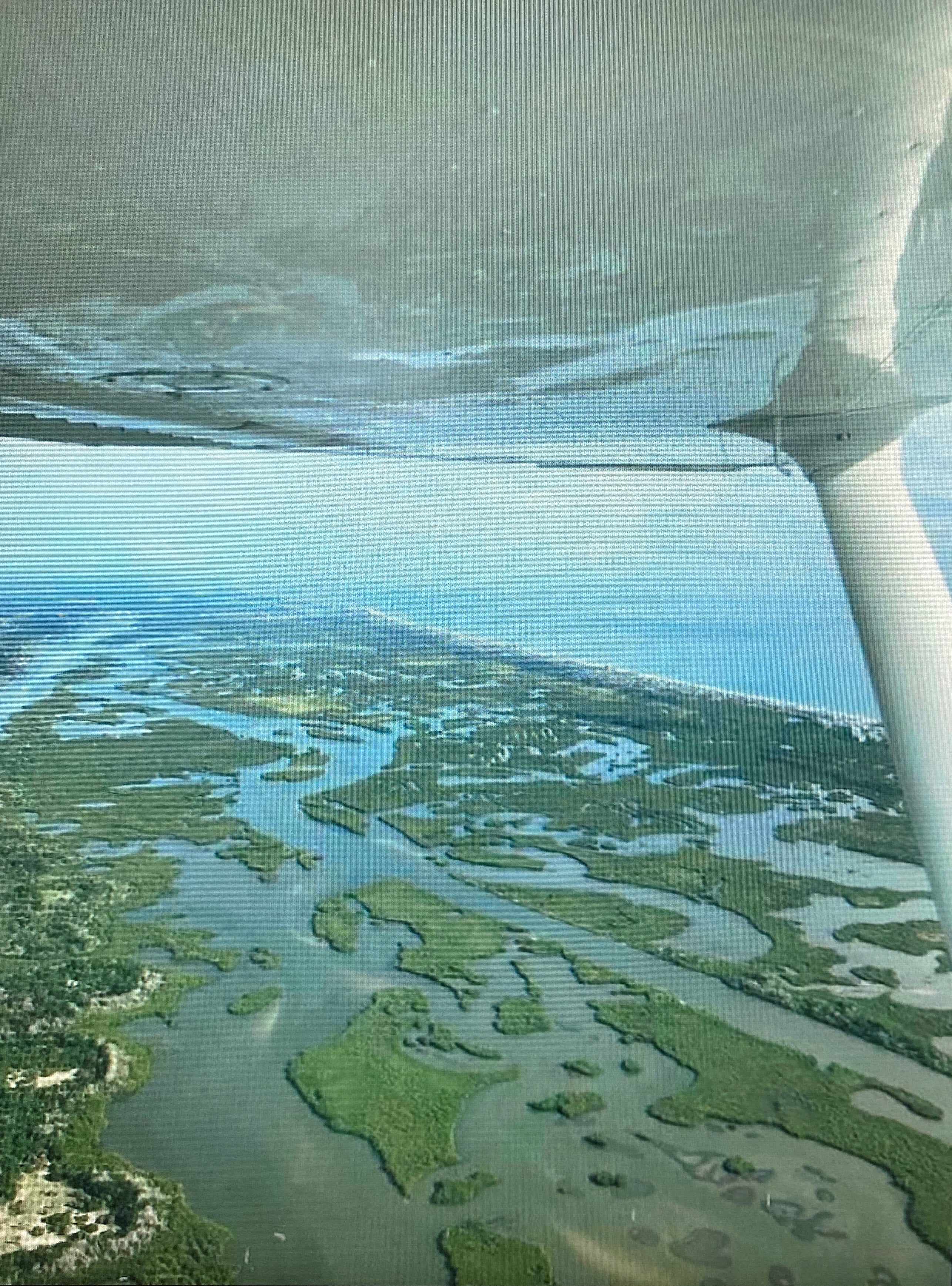Black Mangrove Honey Sampler